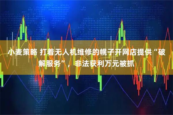 小麦策略 打着无人机维修的幌子开网店提供“破解服务”，非法获利万元被抓